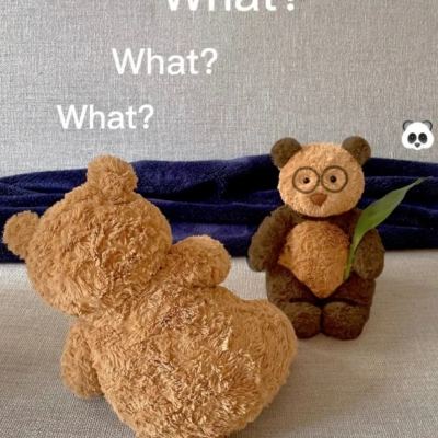 星力正版捕鱼app下载