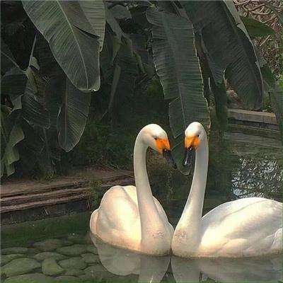 亚博AG娱乐手机app下载