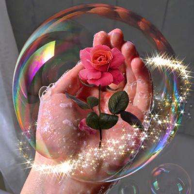 大四喜手机app下载