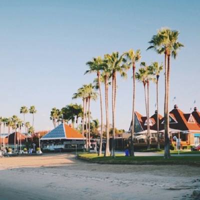 皇冠新体育app下载