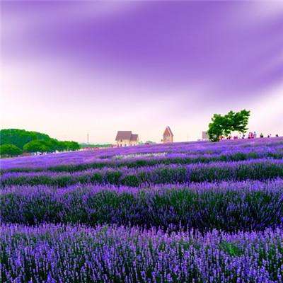 星空体育安卓app下载